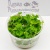 Кардамин лирата (меристемное растение), ф60х40 мм